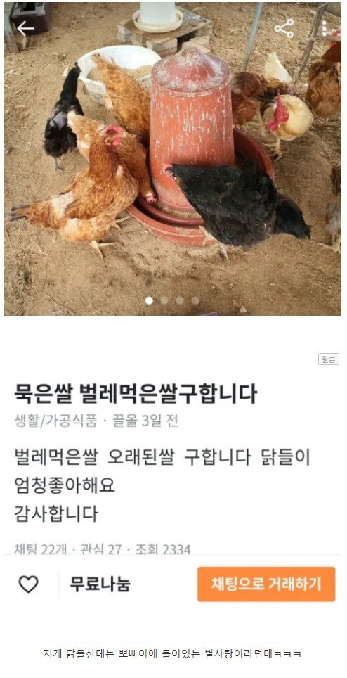 묵은 쌀, 벌레먹은 쌀 전부 삽니다...JPG