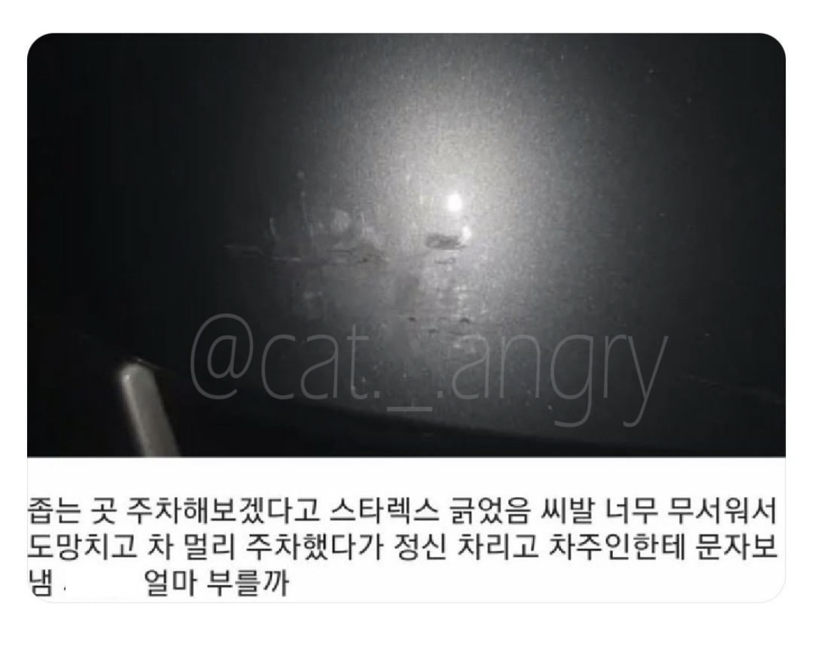 부처의 차를 긁은 디시인.jpg