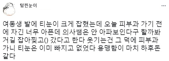 여동생으로 환생한 하후돈