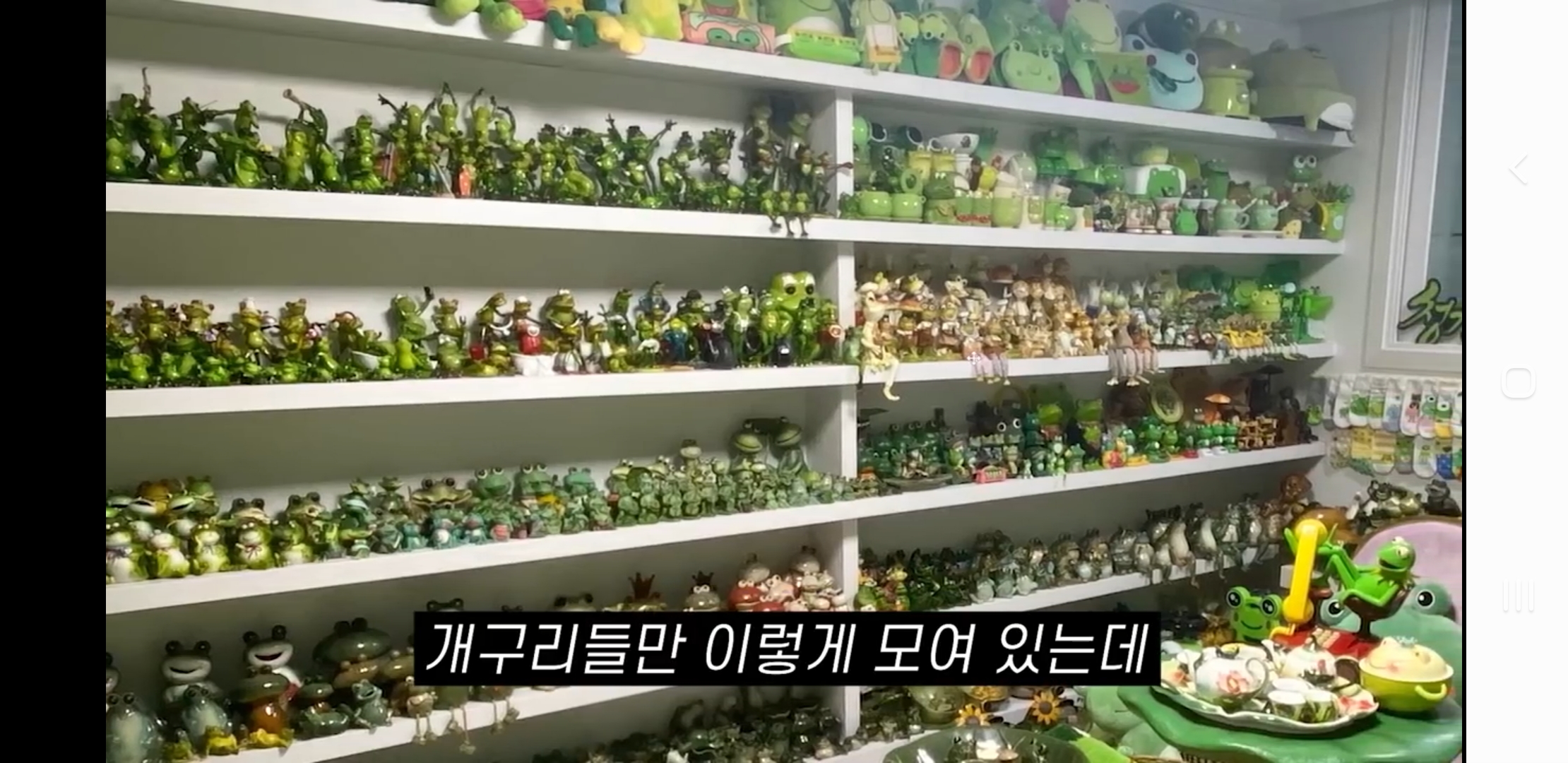 Mom's Madness Frog Room.jpg