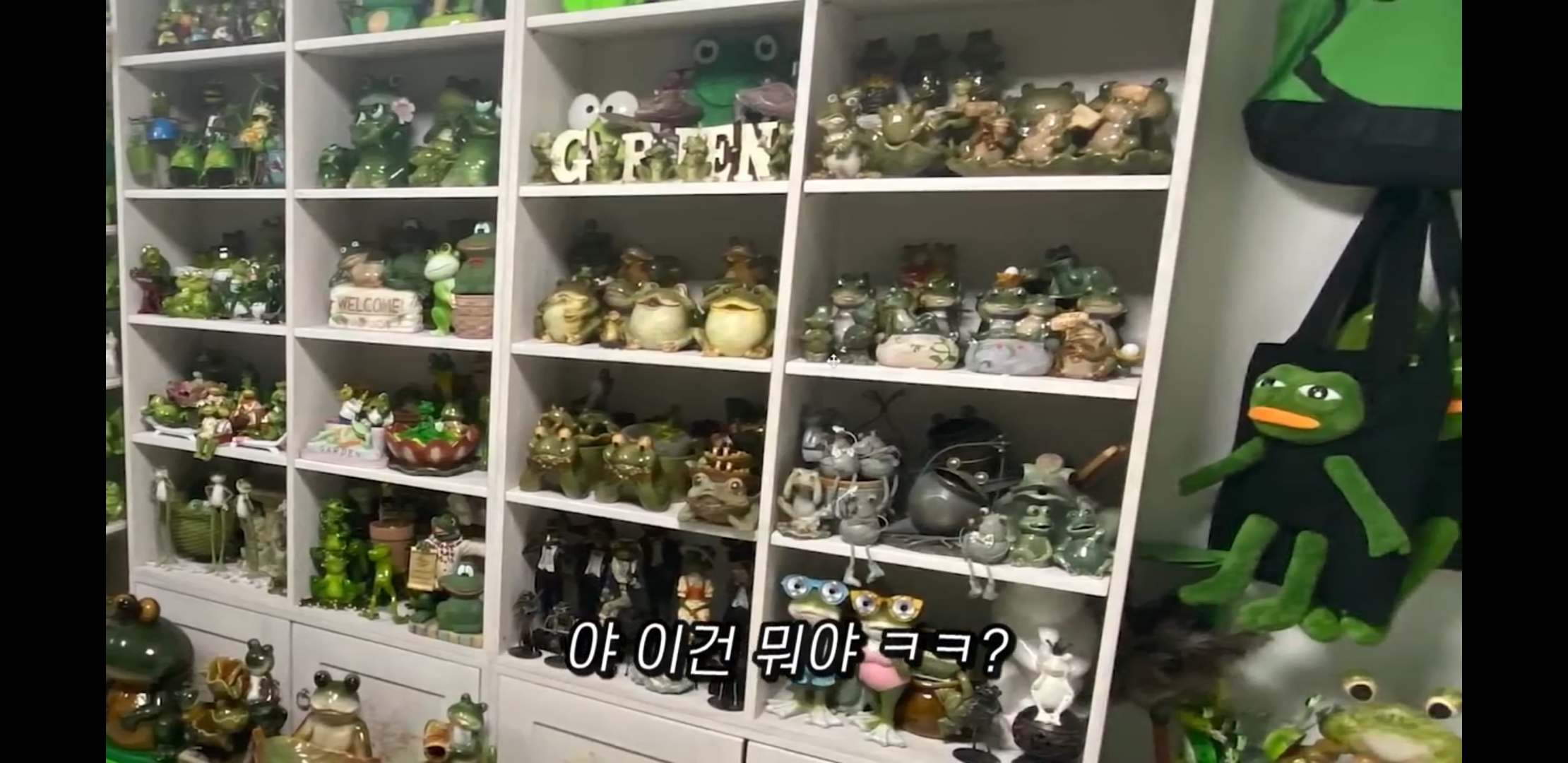 Mom's Madness Frog Room.jpg