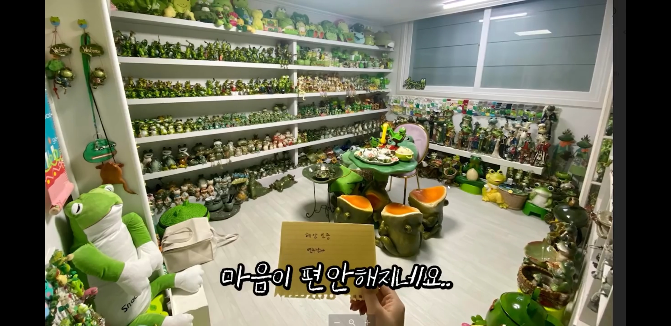 Mom's Madness Frog Room.jpg