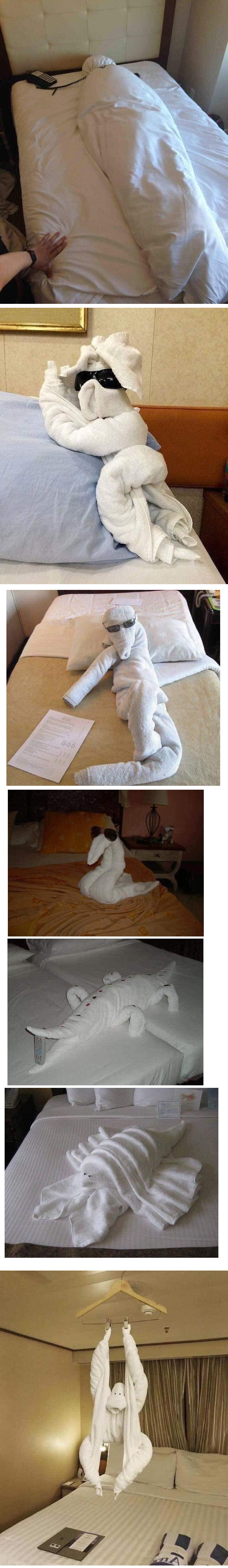 How to play with a towel at a hotel.