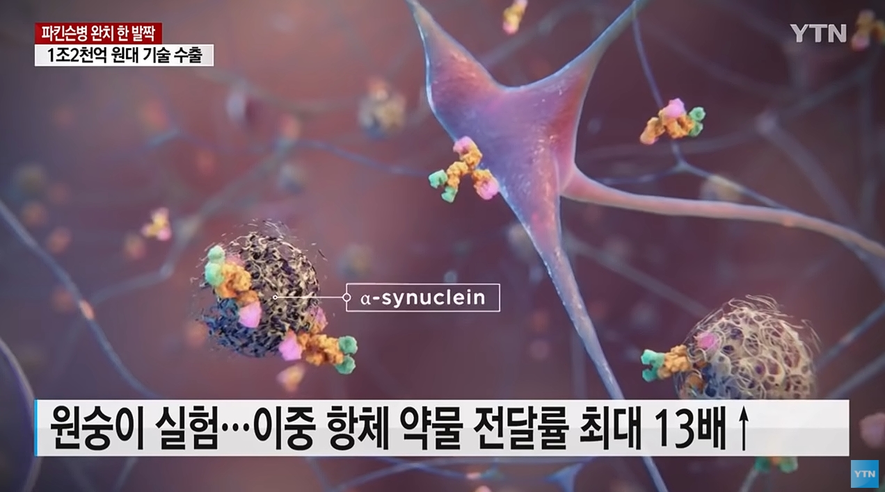 자랑스러운 대한민국 기술력 근황