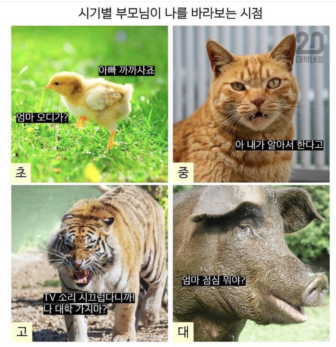 시기별 부모님이 나를 바라보는 시점.jpg