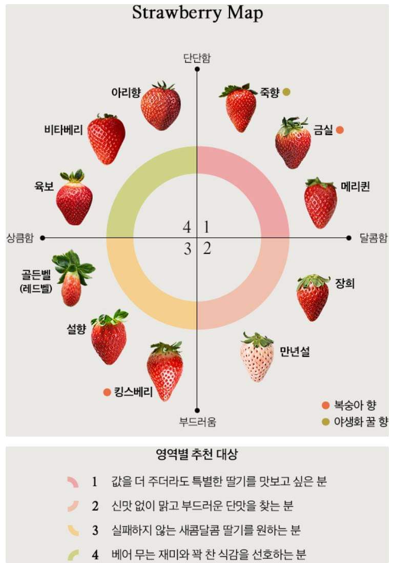 다양한 딸기 종류