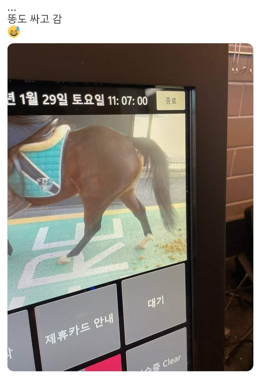 A horse came to the drive-through; jpg