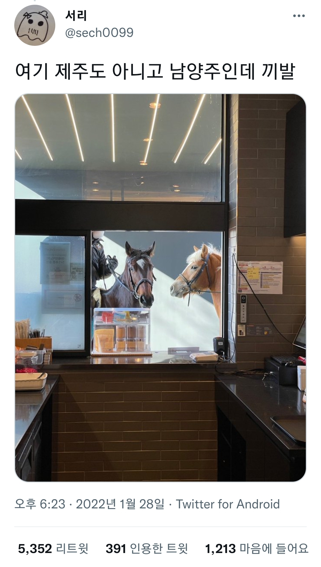 A horse came to the drive-through of our store.