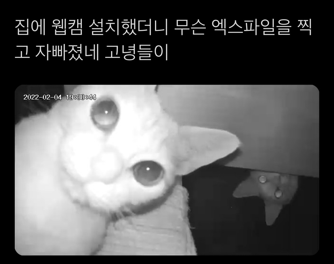 집에 웹캠 설치해봄.jpg