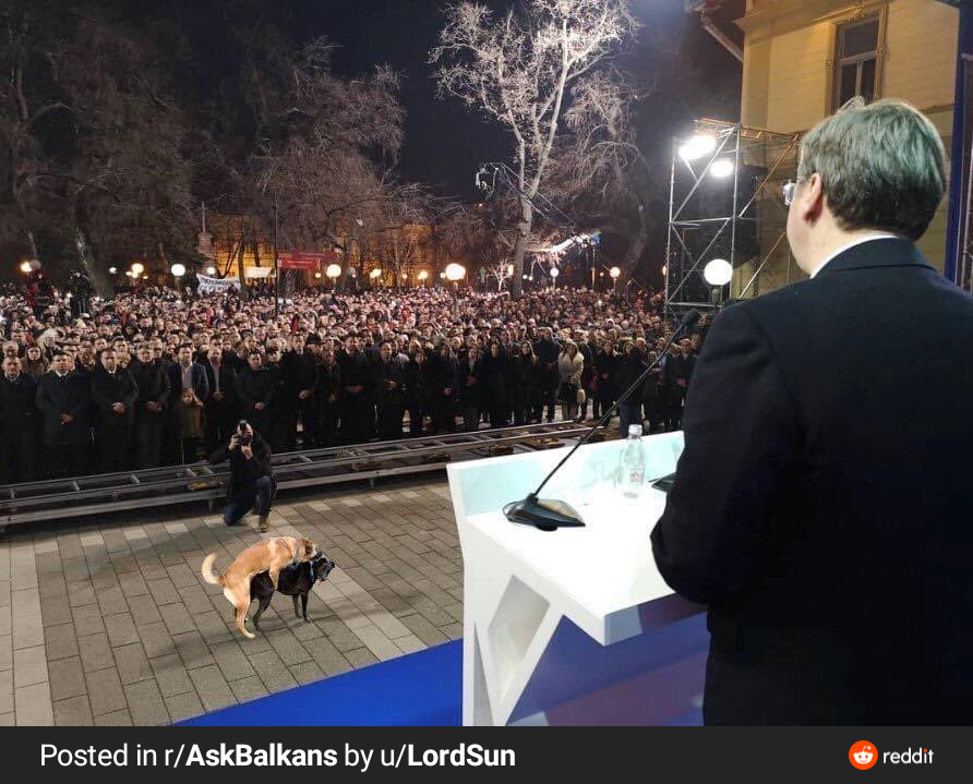 세르비아 대통령 취임식 근황