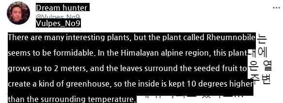 Himalayan plants that make their own greenhouses.