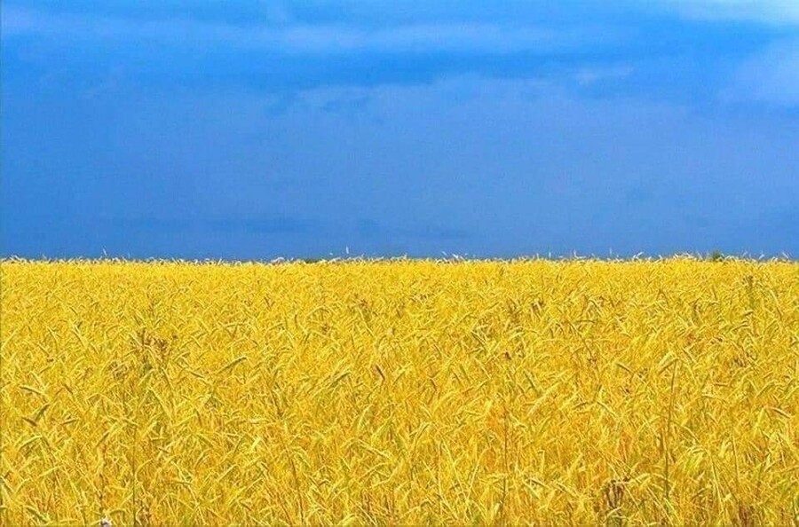 우크라이나 국기의 유래.jpg