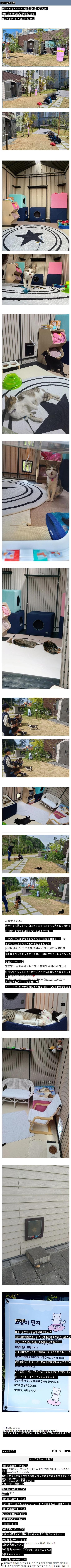 慶尚南道のマンションの野良猫の家の近況.jpg