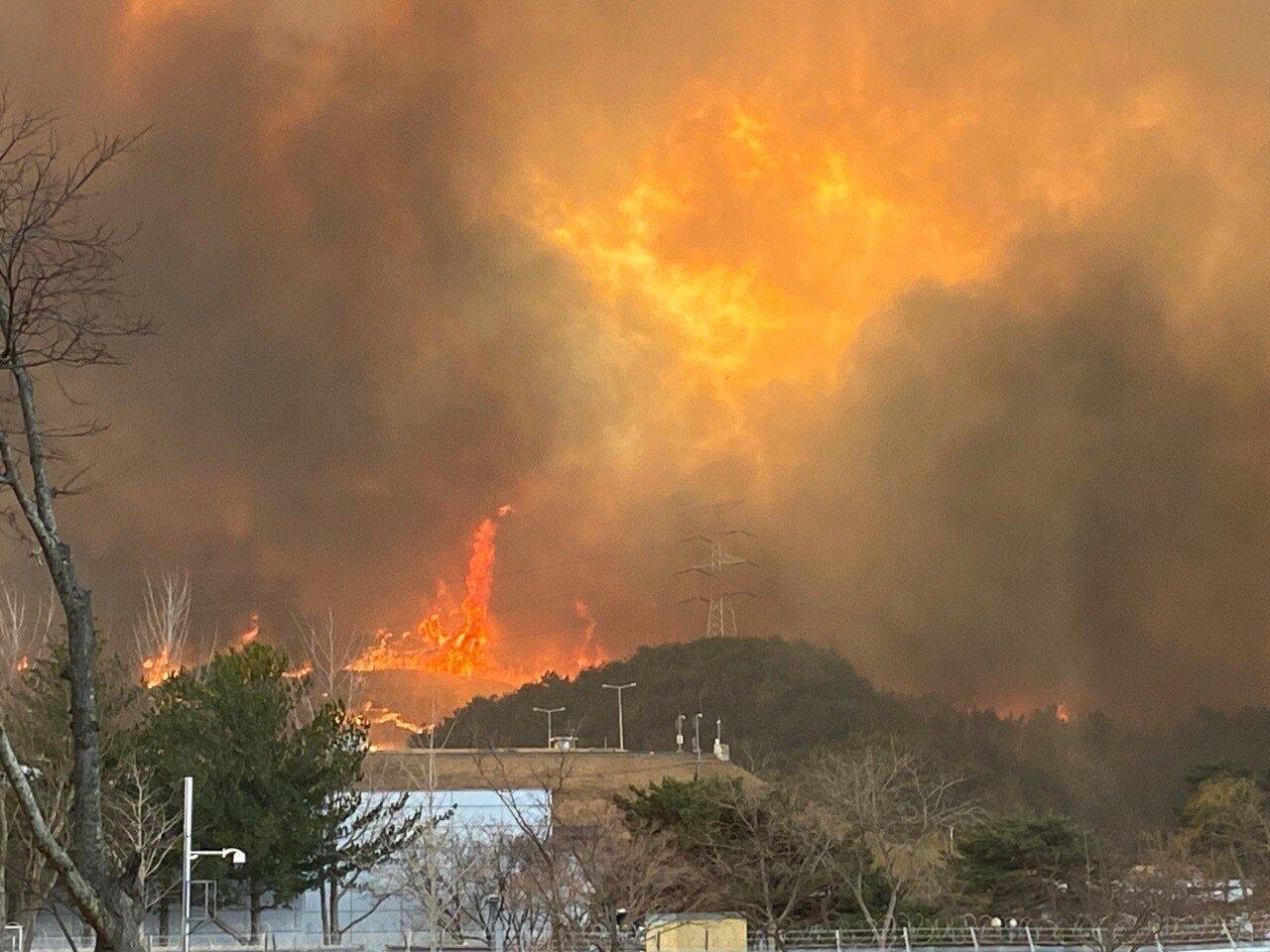 Update on the forest fire in Uljin. JPG.