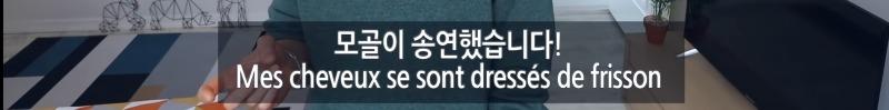 한국에 진심인 프랑스인