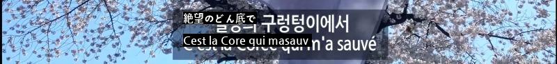 韓国に本気のフランス人