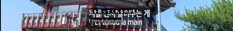 韓国に本気のフランス人