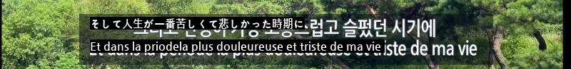 韓国に本気のフランス人