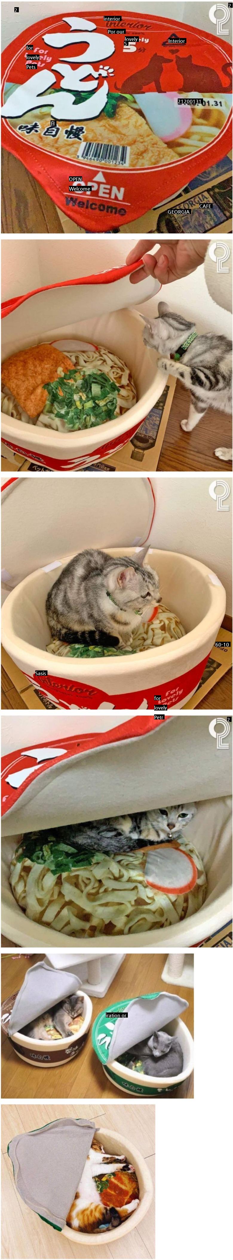 日本で発売された猫用ラーメン