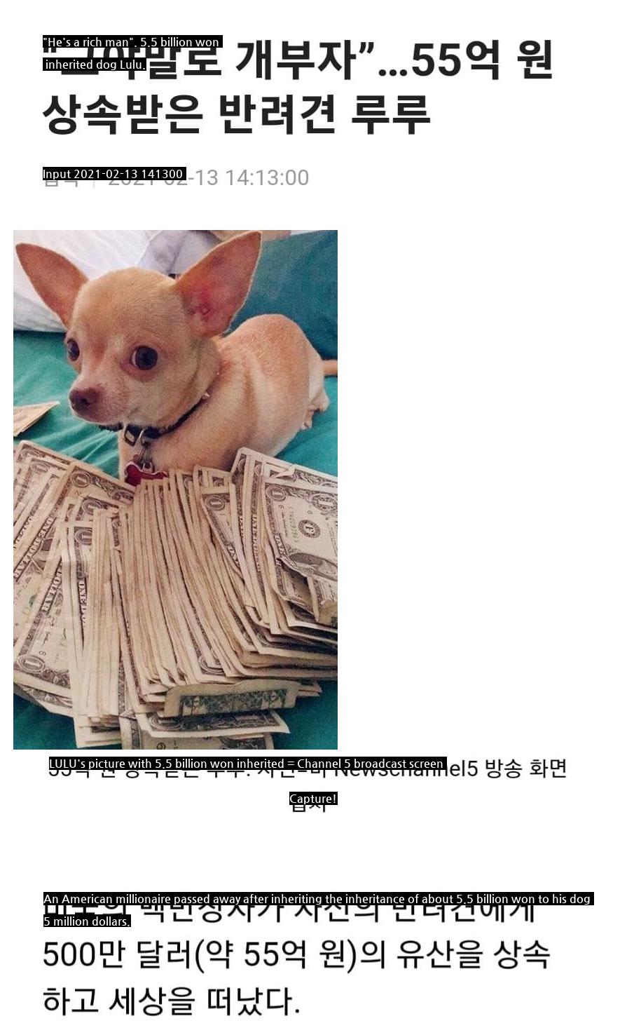 We have 5 billion won for Chihuahua.