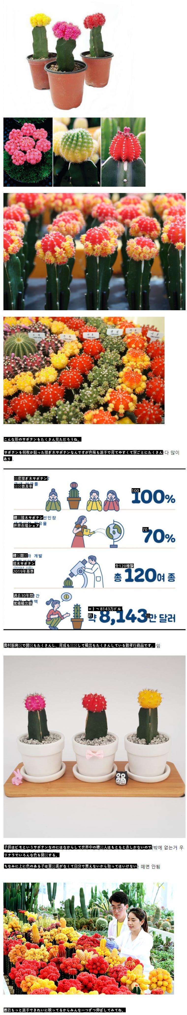 ●世界市場70シェアの韓国産植物