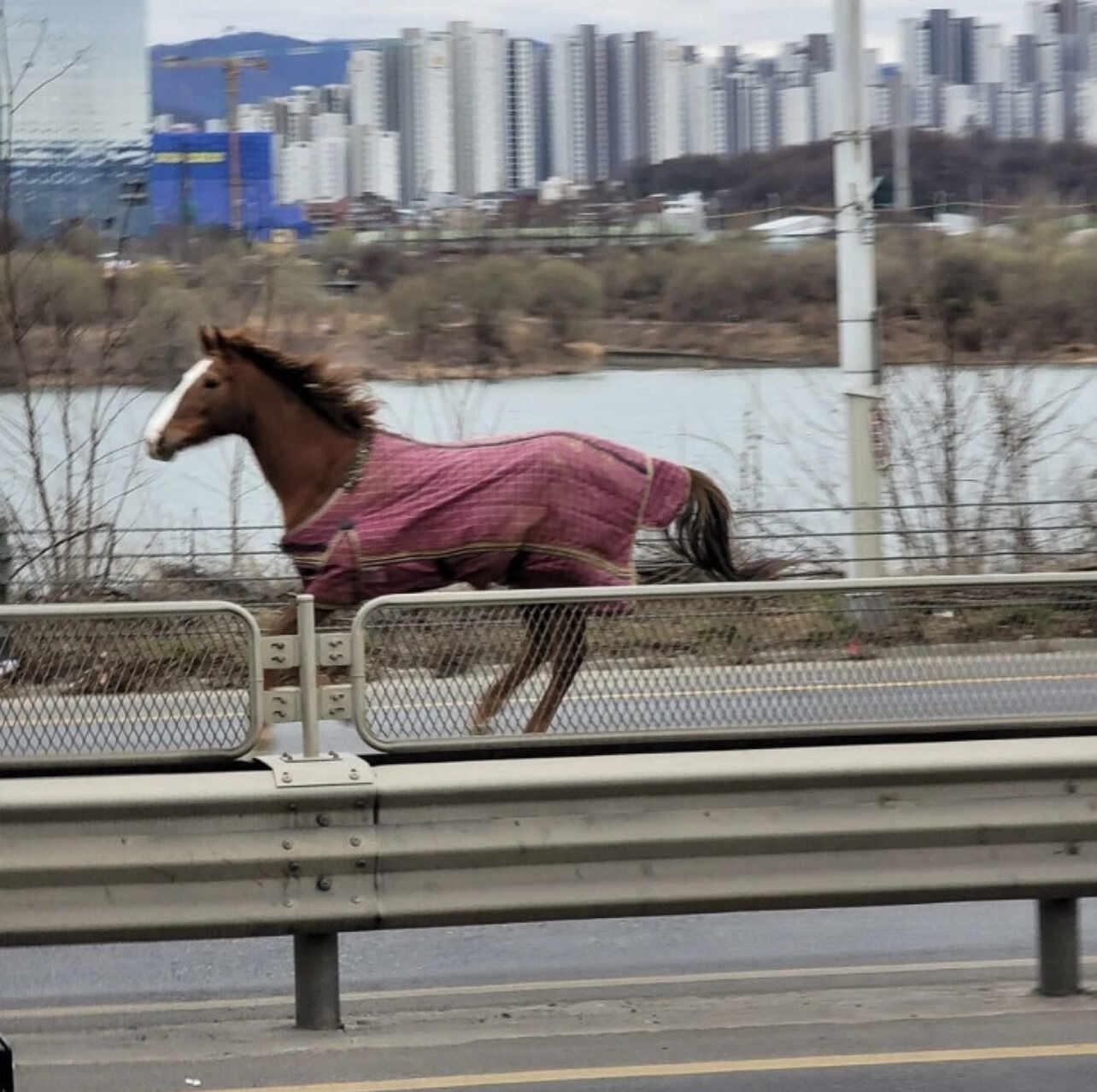 Seoul's real-time Gangbyeon Expressway