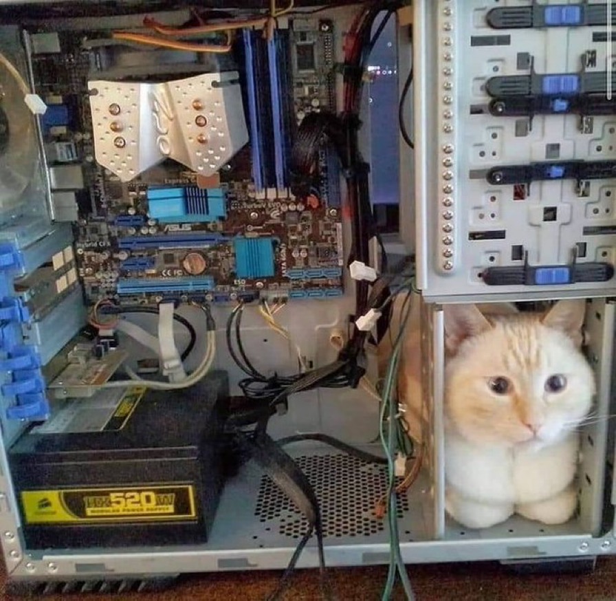 私のコンピューターちょっと見てくれる？