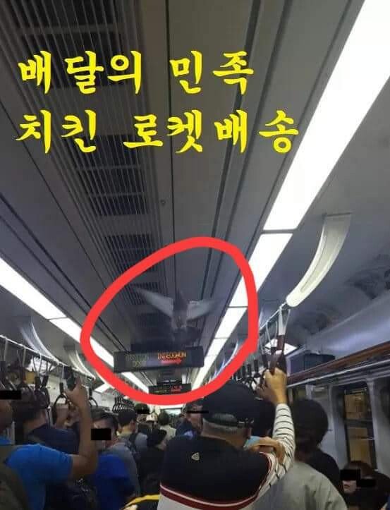 The reason why it's called the Korean subway dungeon.