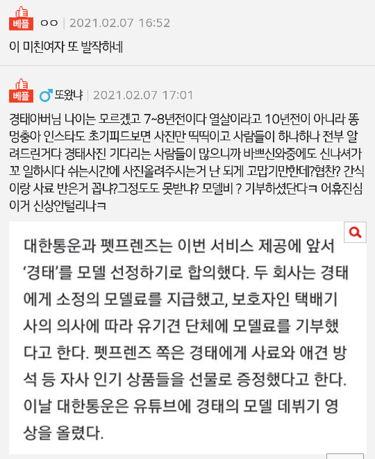 여전히 택배견 경태 주변을 서성이는 여자