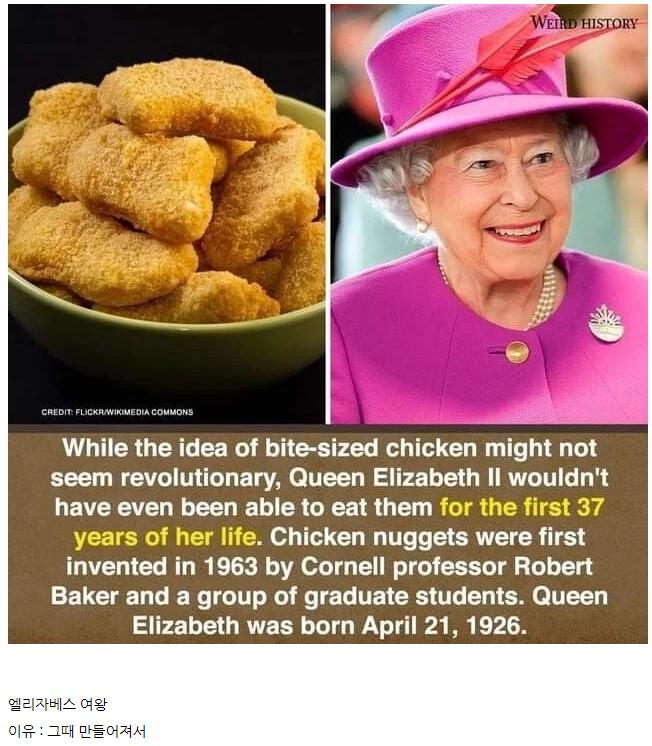 37살에 처음으로 치킨너겟을 먹어본 여자