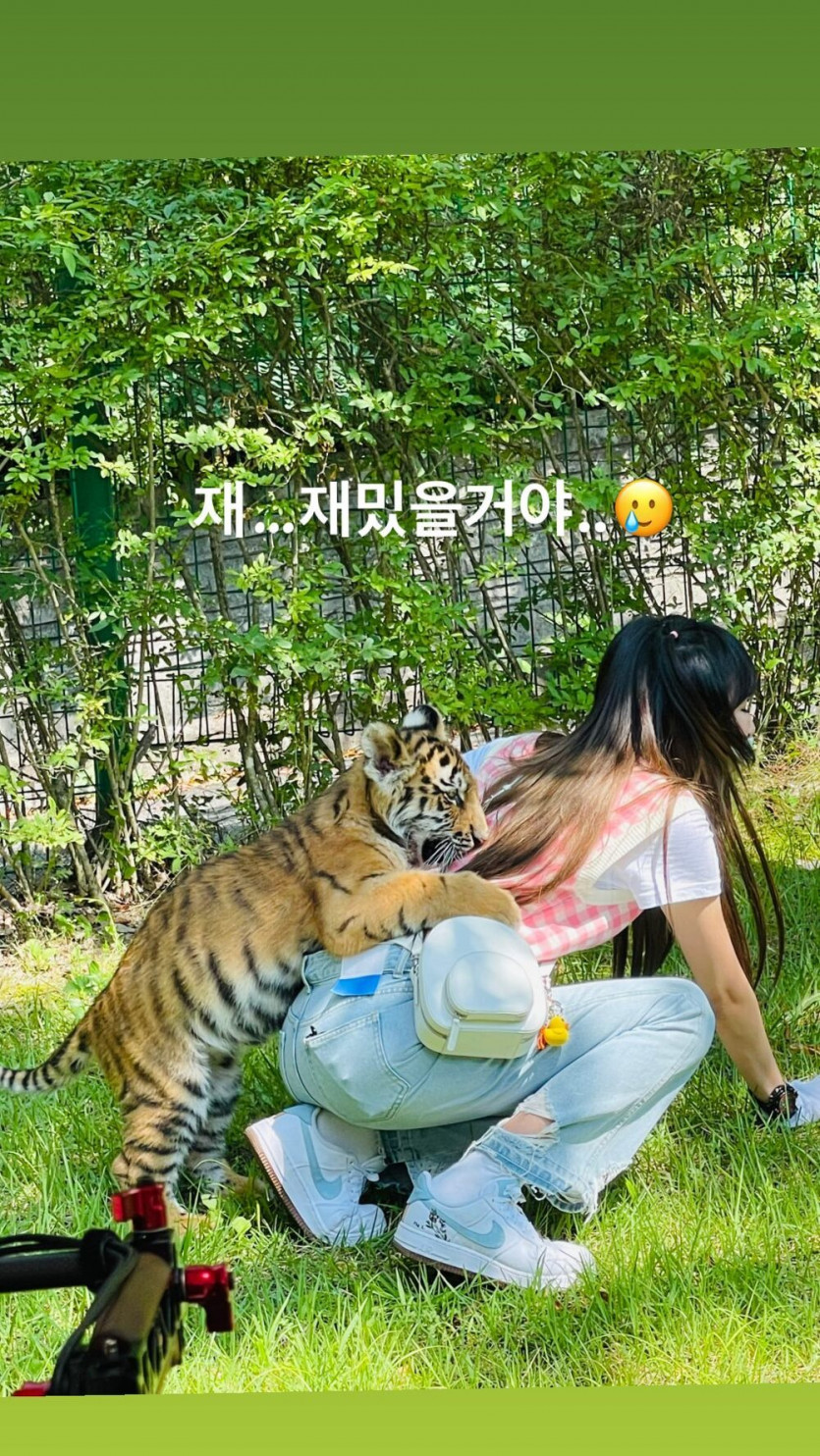 Yena, a duck caught by a tiger