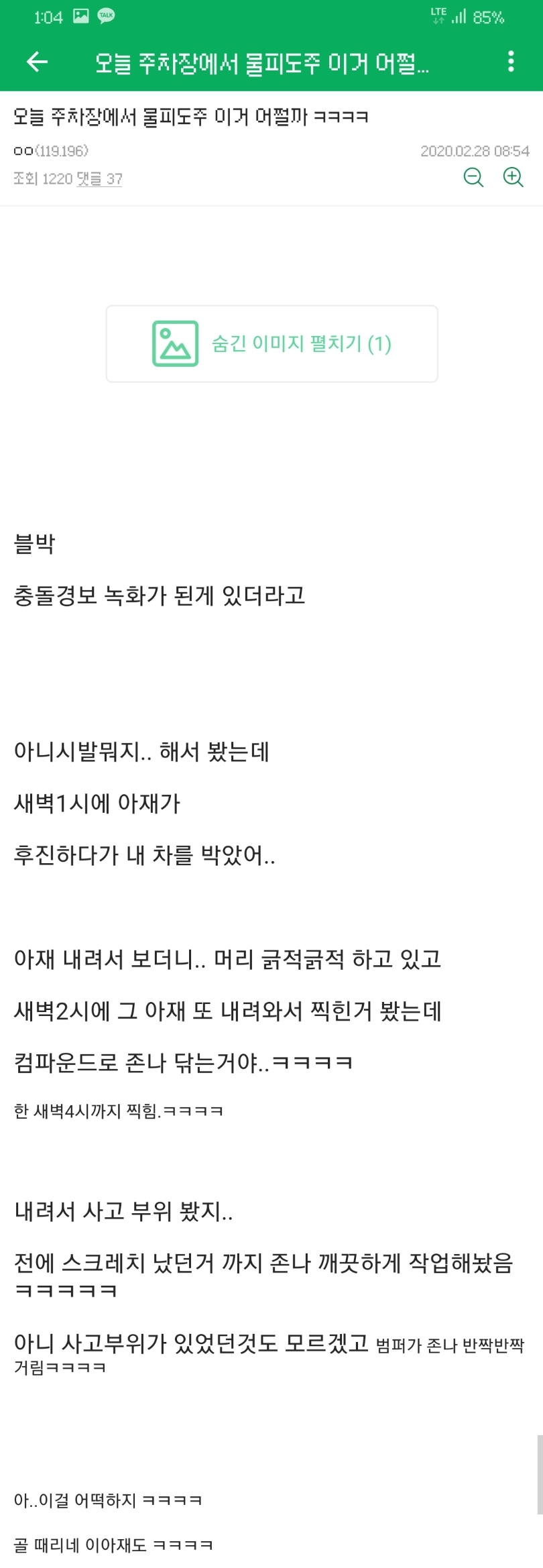 물피도주 당한 디씨인