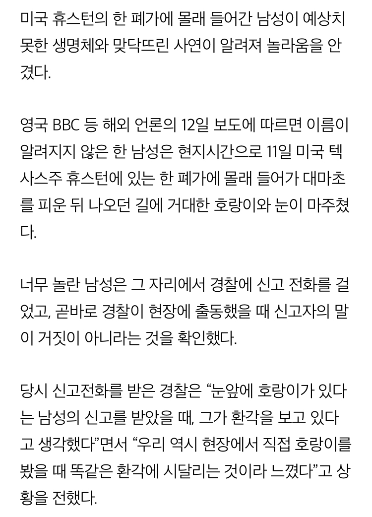 대마하다가 환각을 겪은사람..jpg