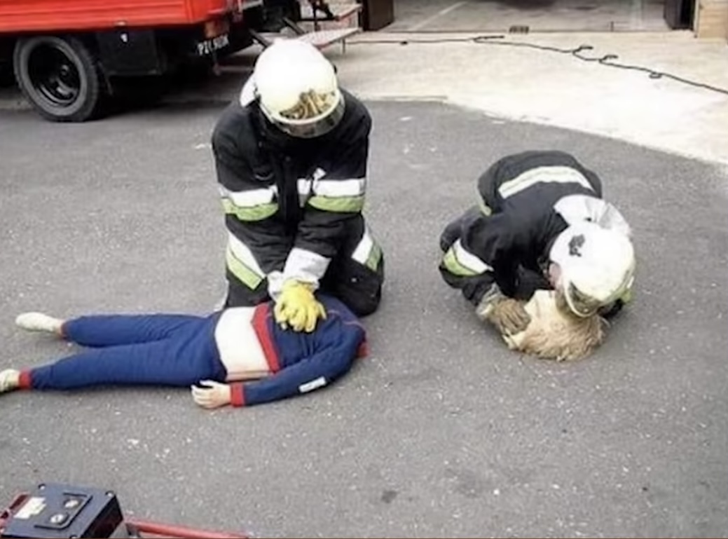 Firefighters who don't give up until the end