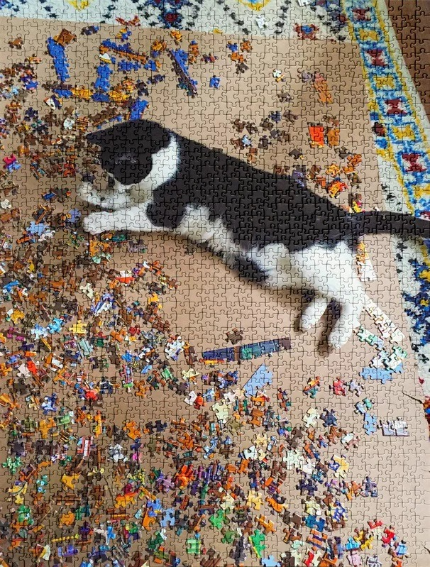 猫をあまりにもよく表現したジグソーパズル