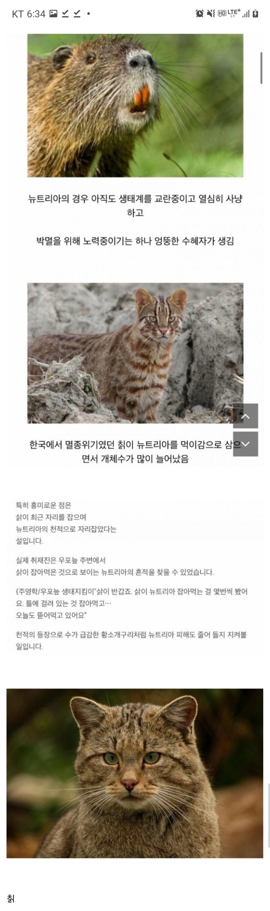 最近韓国で絶滅するかもしれない生物ㅠㅠ