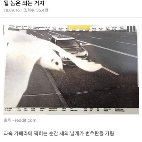 타이밍 직이네 로또다