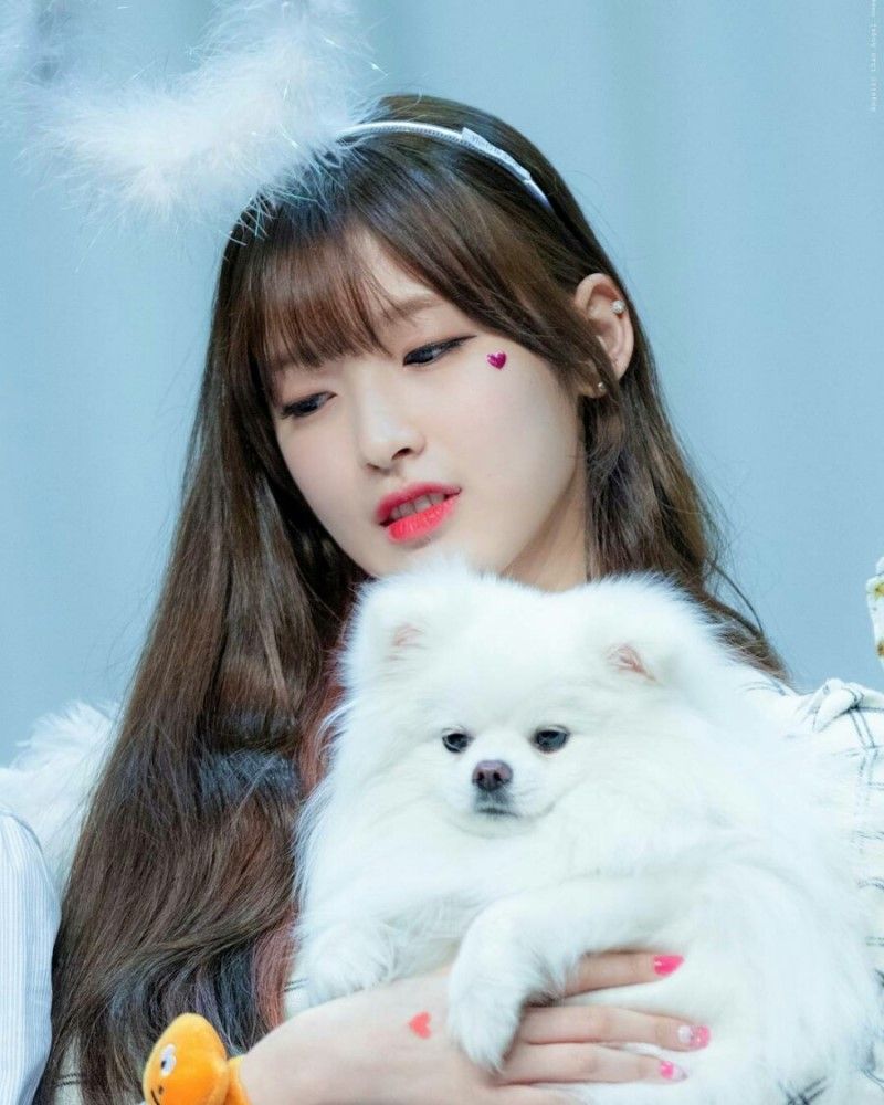 오마이걸 아린