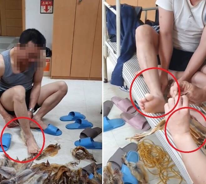 Video: Barefoot, dried squid...Video shock of Pohang's seafood market...