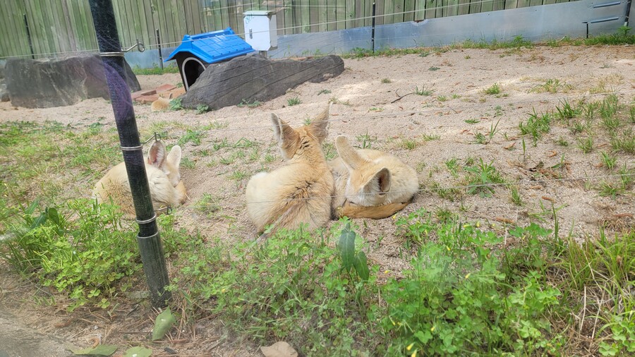 地下鉄で暴行されました。