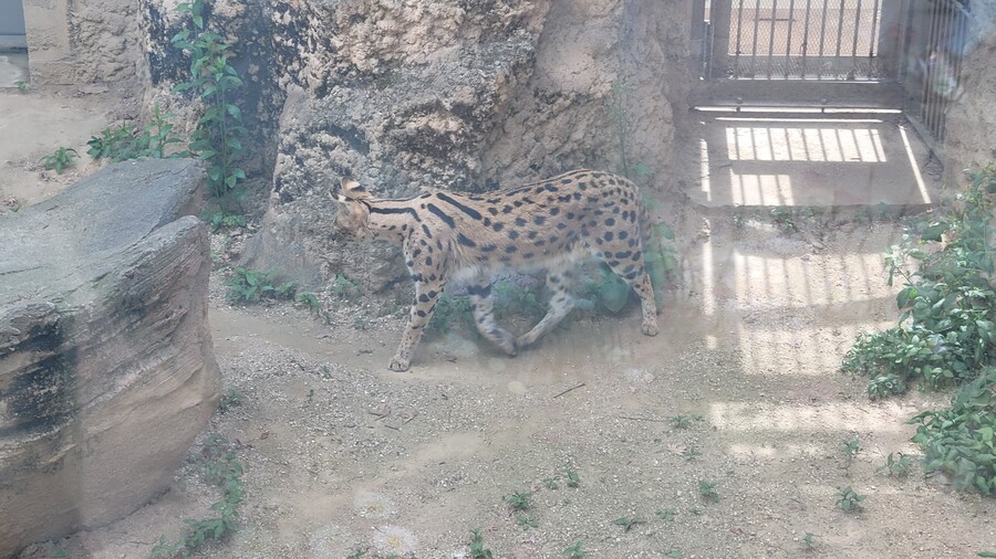 地下鉄で暴行されました。