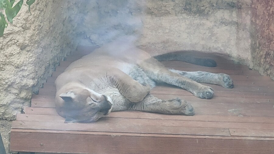 地下鉄で暴行されました。