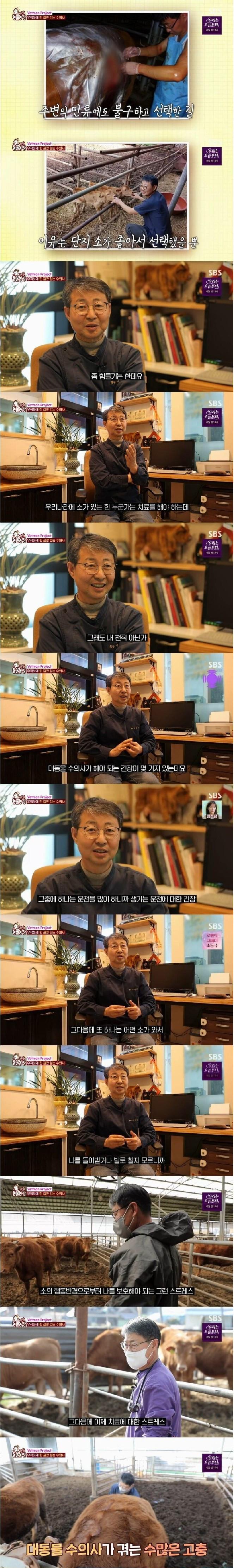 29년째 소 전문 수의사를 하는 이유