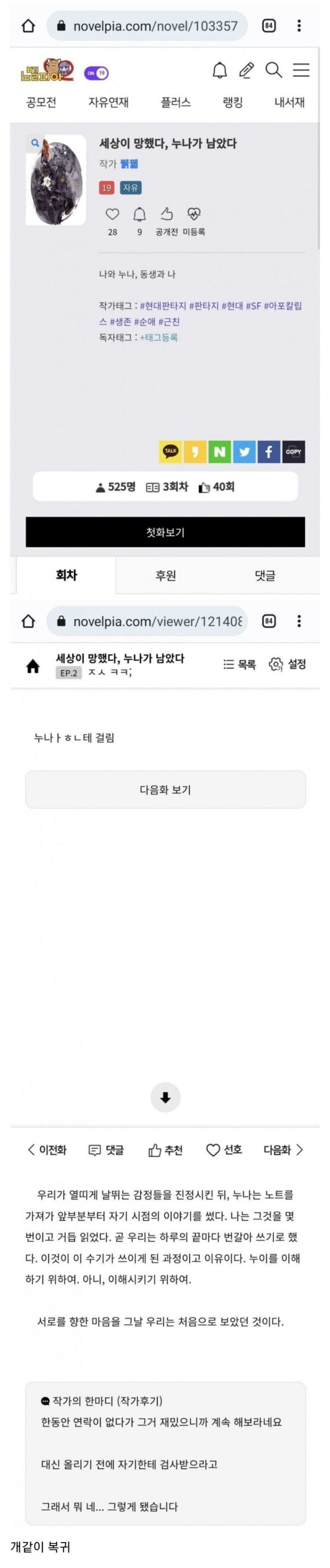 소설 쓰다가 누나한테 걸려서 연재 중단