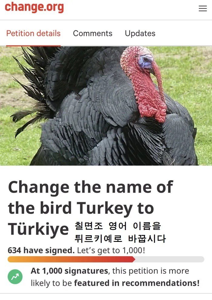 七面鳥被害テュルクィエに国号を変えたトルコの近況jpg