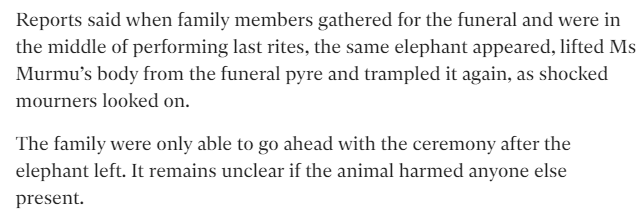어제자 인도에서 발생한 황당한 코끼리 사망사고