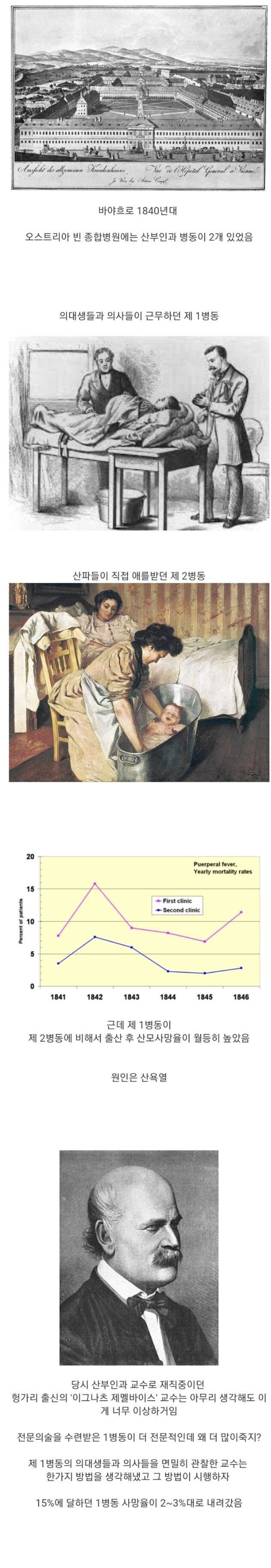 임산부 사망률을 낮춘 교수의 비참한 최후