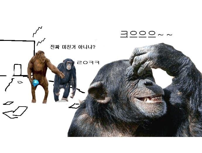 새로운 사황 발표 후 원피스 갤러리 상황.jpg