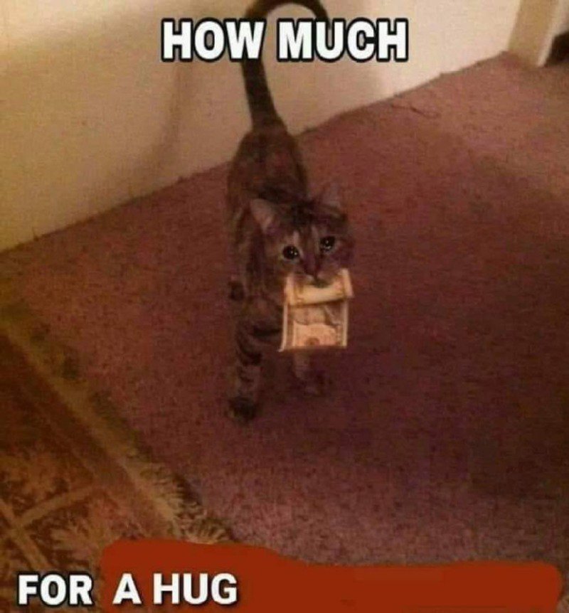 How much for a hug.