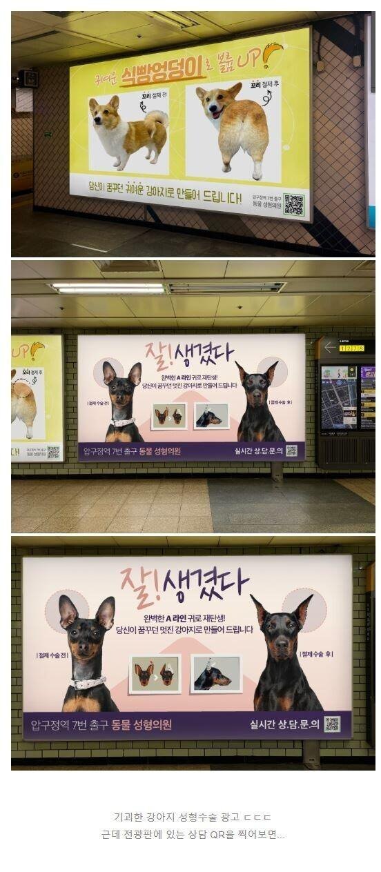 衝撃的な地下鉄犬の整形広告